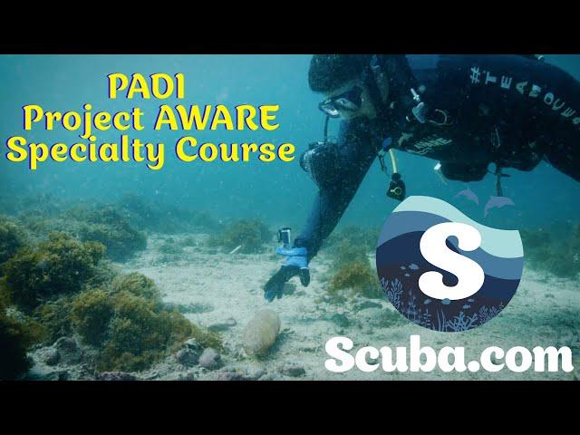 PADI Project AWARE Specialty Course