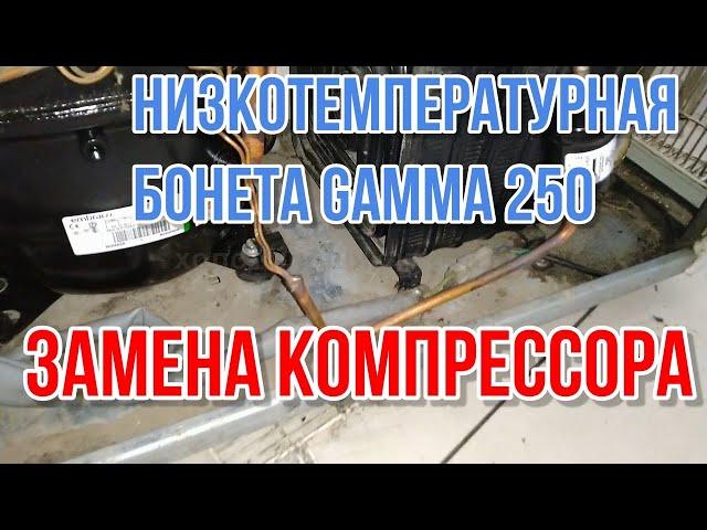 Низкотемпературная  бонета GAMMA 250 NN CA. Замена компрессора