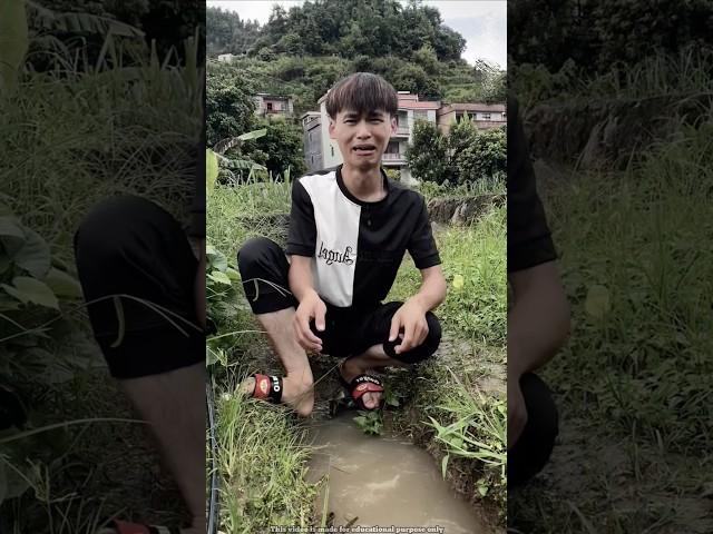 The Stealing cost the boy dearly! #shortvideo