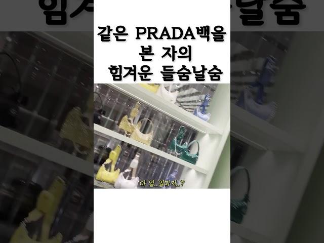 같은 PRADA백을 본 자의 힘겨운 들숨날숨,,,