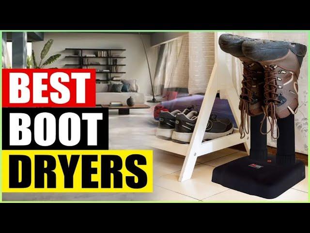 5 Best Shoe Boot Dryers of 2025: Keep your Feet Happy!