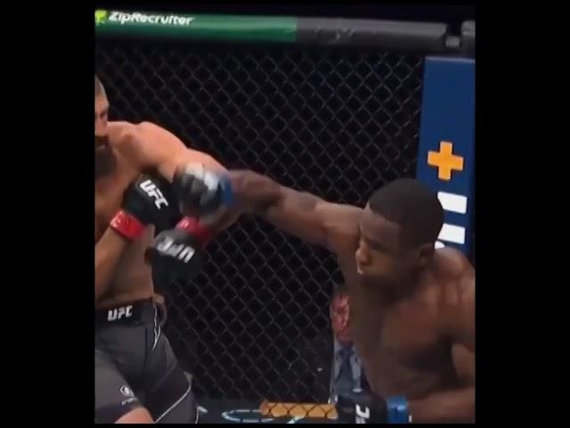 MMA Kickboxing I Mixed Martial Arts | MMA Shorts I MMA India #mma #shorts | SOW MMA