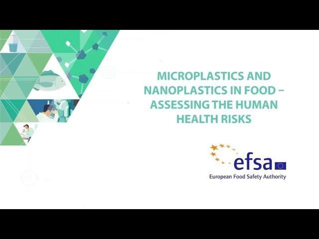 Microplastics and nanoplastics in food – assessing the human health risks