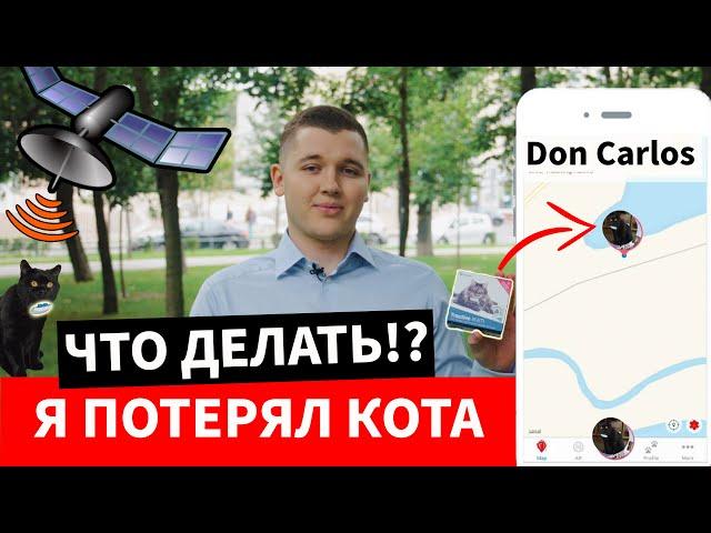 GPS Трекер Для Кошек и Собак [Tractive, Пропала Собака, Pet911, Выгул, Gps Ошейник Для Собак]