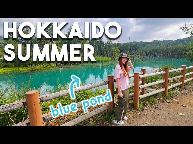 Summer Road Trip Through Hokkaido