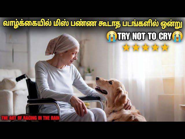 படம்னா இதுதான் படம் கண்டிப்பா பாருங்க (must watch)| film roll | tamil explain | review