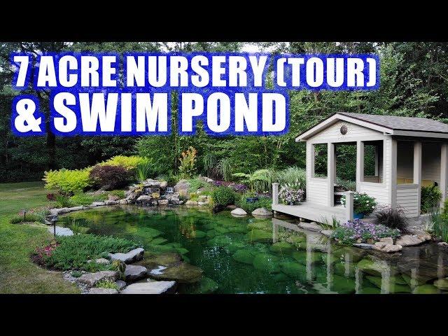 PONDS with PRICES and GARDEN TOUR: Greg Wittstock, The Pond Guy