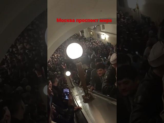 проспект мира москва 2023