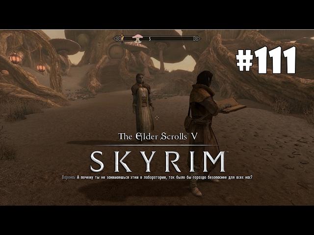 Skyrim: Special Edition (Подробное прохождение) #111 - Очищение камней