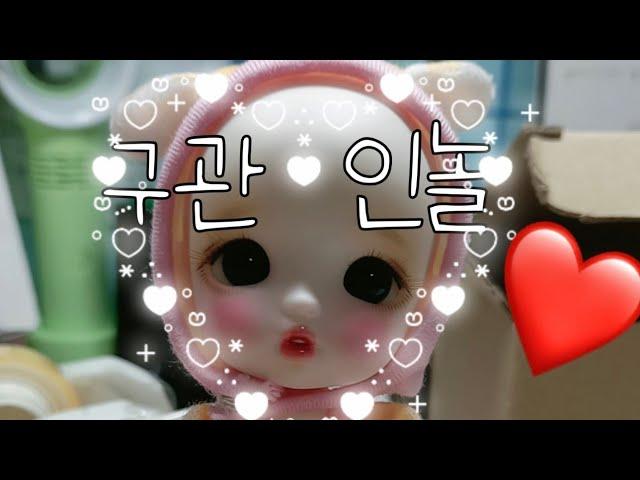 봄찌/ 3체 인놀 /구관/ 인놀