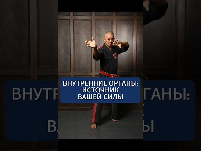 Внутренние органы: Источник вашей силы