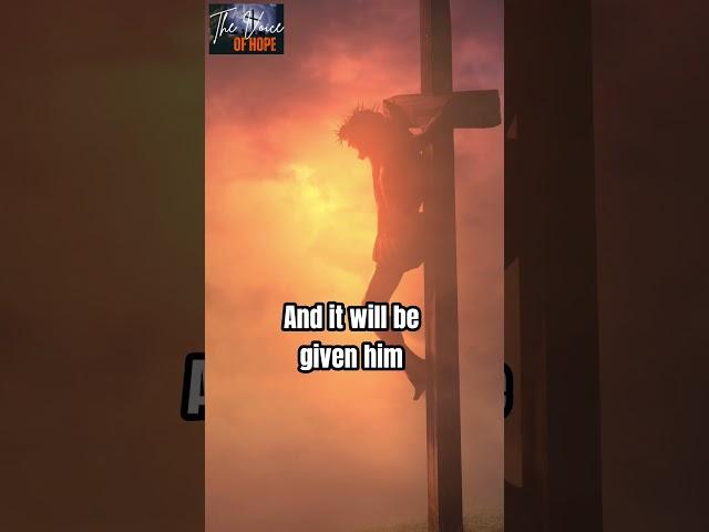 Walking with God #prayer #devotional #walkthrough #faith #scripture #god
