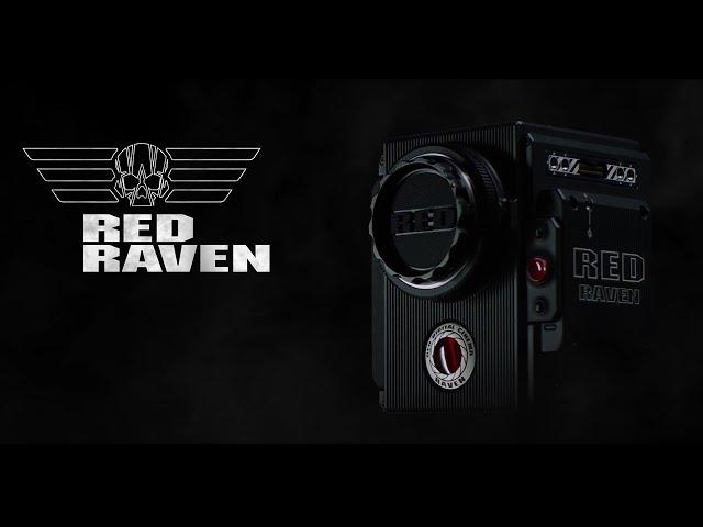 RED Digital Cinema Announces RED RAVEN™