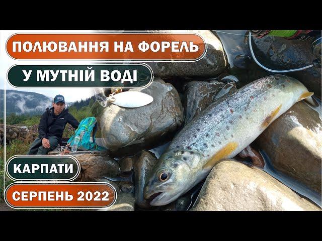 ПОЛЮВАННЯ на ФОРЕЛЬ в КАРПАТАХ по МУТНІЙ воді! РИБОЛОВЛЯ в КАРПАТАХ на дику ФОРЕЛЬ на дикій річці