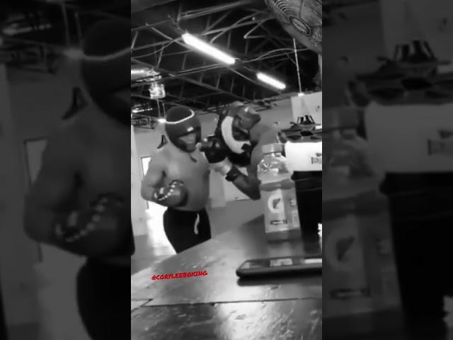 HEATED SPARRING BOXER LANDING BOMBS 