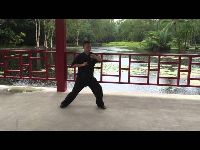 Chen Style Tai Chi Traditional Movement Set 2