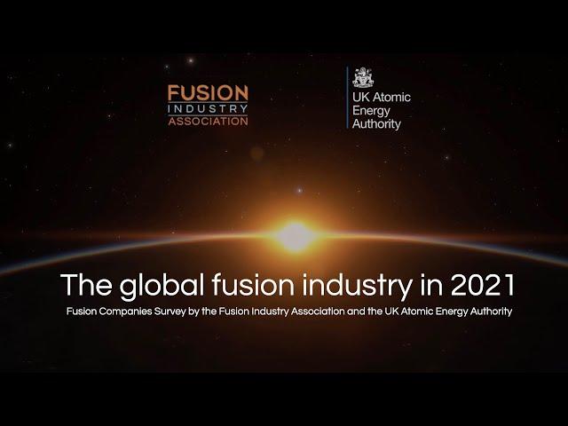 The Global Fusion Industry in 2021