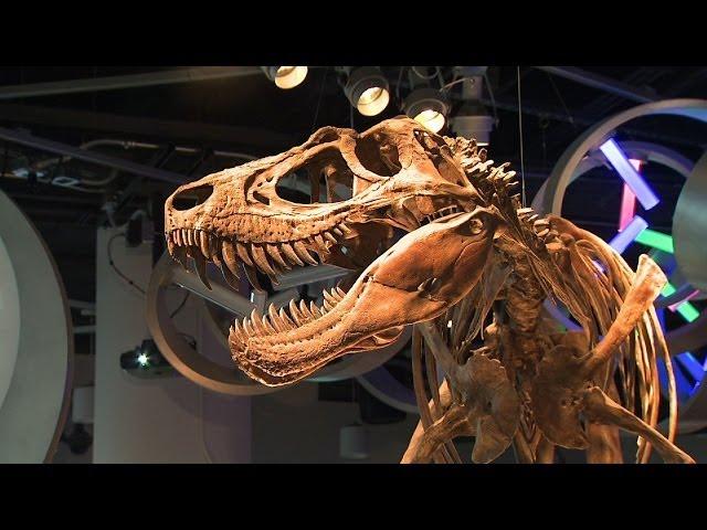 Discovering and understanding a new type of dinosaur | Sci NC