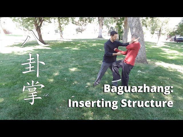 Baguazhang Inserting Structure 八卦掌