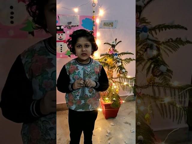 Advika's Christmas Celebration