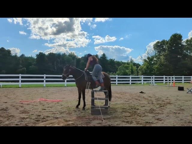 Drama (first time with a rider)