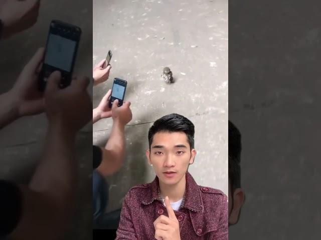 Cú mèo thao túng tâm lí