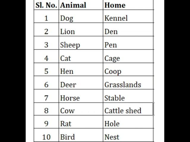 animal&their homes#englishlearner