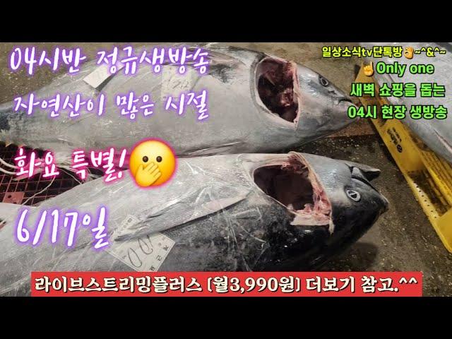 자광 자참 숭어 도다리 자연산횟감 물량폭탄 6/17일 04시반 정규라이브(월~토)️Only one 새롭고 싸고 다양한 노량진수산시장 새벽 쇼핑을 돕는 정규생방송(Live)운영~