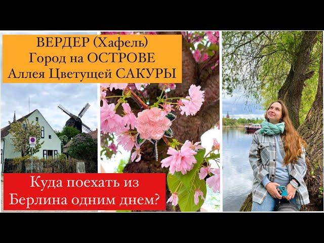 WERDER (Havel). ВЕРДЕР. Цветущая САКУРА. Город На ОСТРОВЕ. Куда Поехать Из БЕРЛИНА ОДНИМ ДНЕМ?