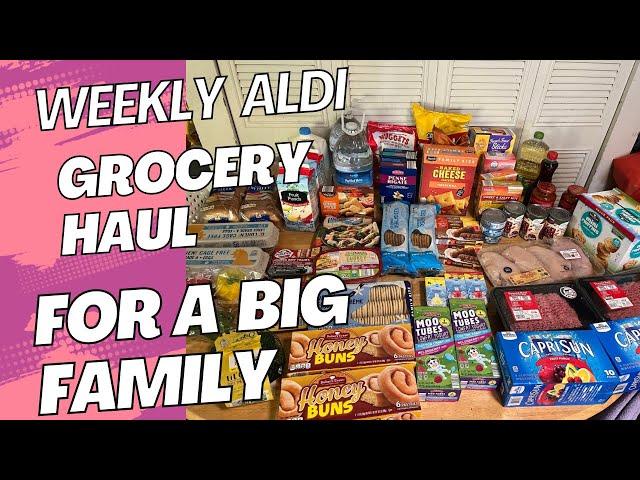 NEW weekly ALDI  grocery haul || Shopping on a budget || Mom of 5