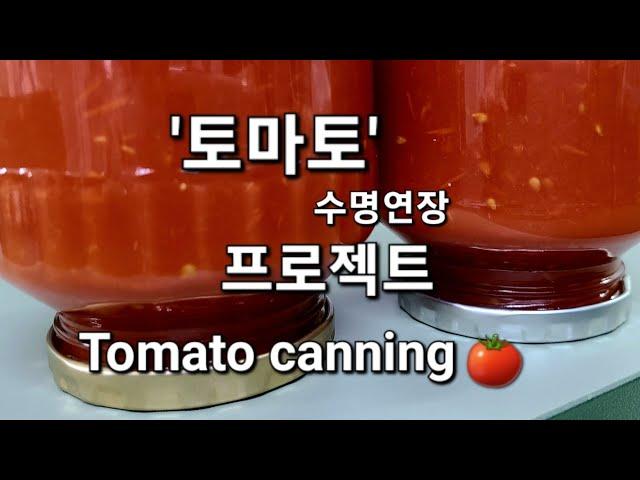 토마토 ''이렇게' 만들면 질병예방 혈관건강 다이어트까지/1년간 보관 가능/토마토 '최고'