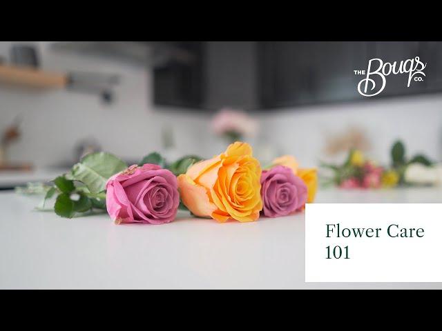 Fresh Cut Flower Care - Bouq Care 101 | The Bouqs Co.