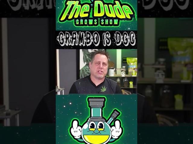 Learning. Growing. Cannabis. Grambo in Episode 854(?)
