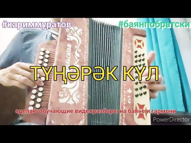 ТҮҢӘРӘК КҮЛ - обучающий видеоразбор на гармони ЦИФРАМИ для начинающих #кариммуратов #баянпобратски