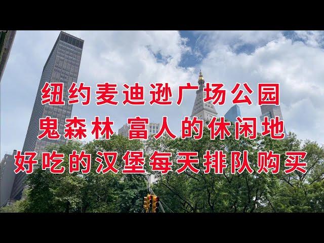 纽约 麦迪逊广场公园  鬼森林  富人的休闲地 好吃的汉堡每天排队购买