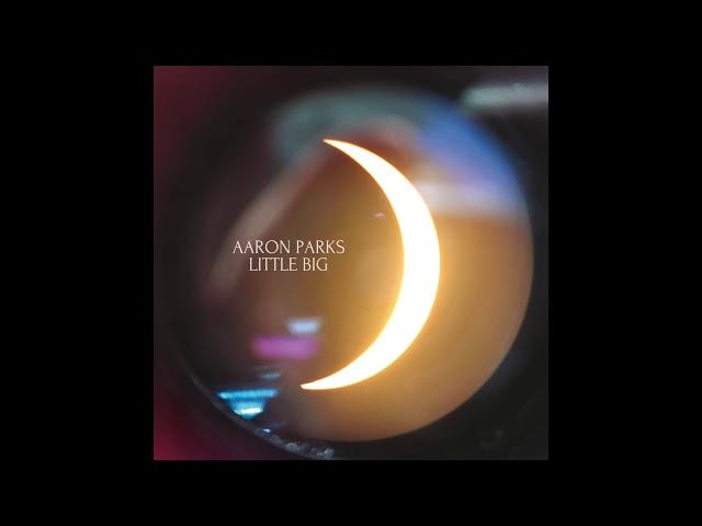 "Mandala" - Aaron Parks Little Big