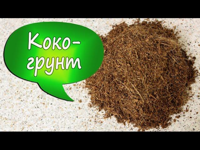 4. Идеальный субстрат! Что такое коко-грунт и как его подготовить?