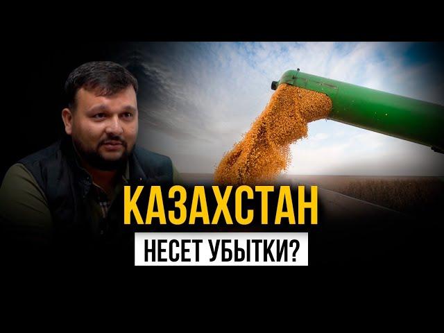 Грядущий коллапс на рынке зерна и потери дохода для Казахстана