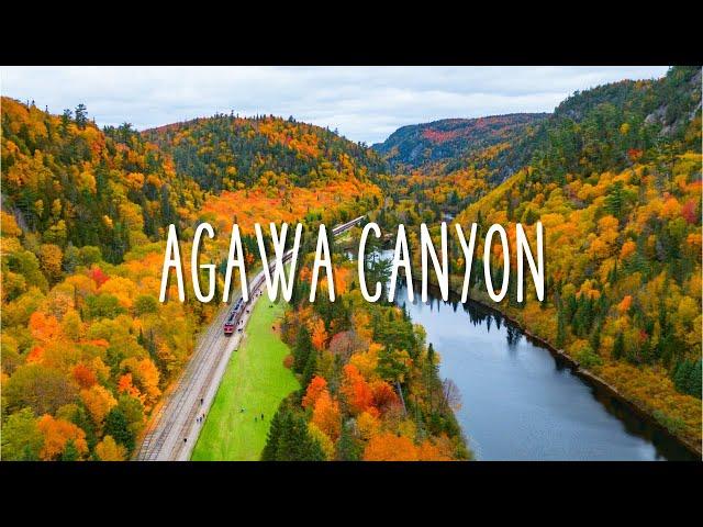 The Best Fall Colour Trip in Ontario Agawa Canyon Train Tour