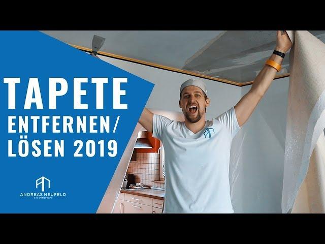 TAPETEN entfernen TIPPS 2019 | Einfach Tapete lösen vom Wandprofi