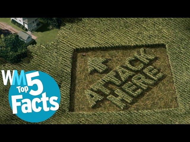 Top 5 Weirdest Crop Circle Facts