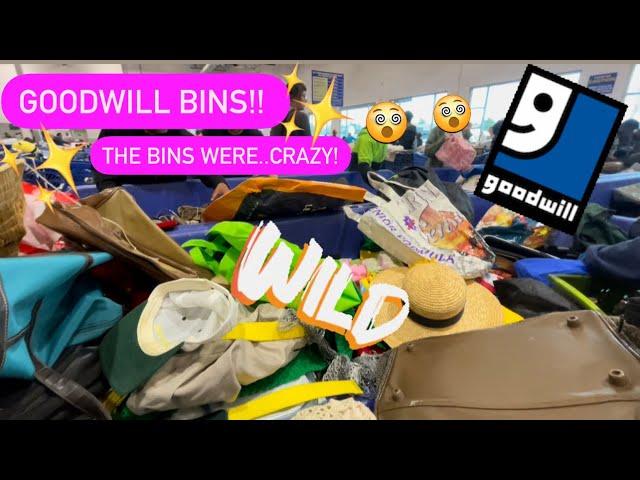 Let’s Go To Goodwill Bins!! It Was INSANE!  New Purse Bins Are OUT! Thrift With Me! +HAUL!