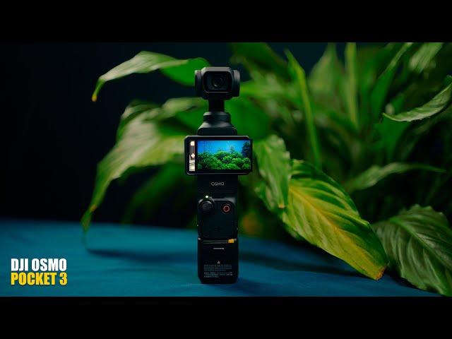 La MEJOR CAMARA para CREAR CONTENIDOS y FILMMAKERS // DJI OSMO POCKET 3