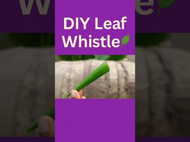 Yes, This Leaf Can Whistle!