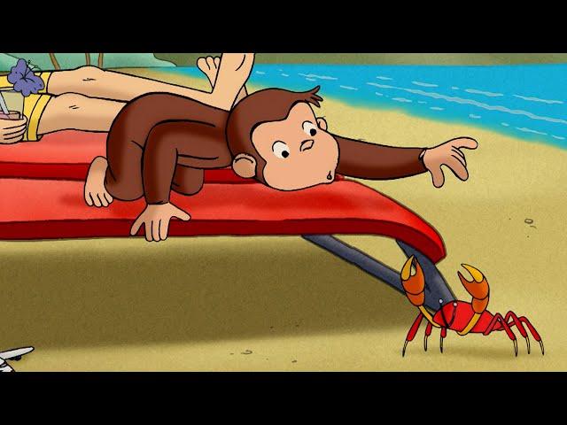 Il caos da vacanze!  Curioso Come George  Cartoni per Bambini