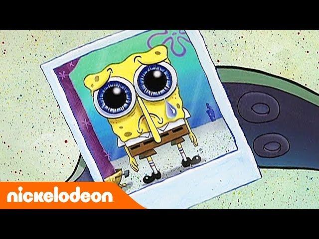 Губка Боб Квадратные Штаны | 2 сезон 8 серия | Nickelodeon Россия