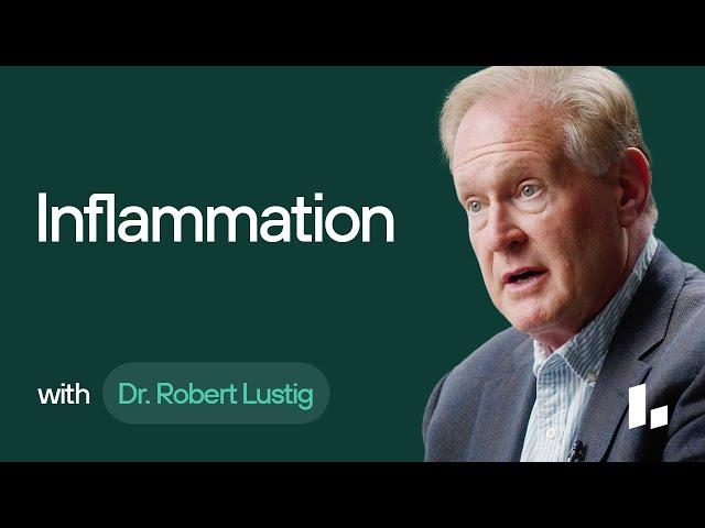 What Are Anti-Inflammatory Foods & Why Are They Crucial for Health? | Dr. Rob Lustig Ultimate Guide