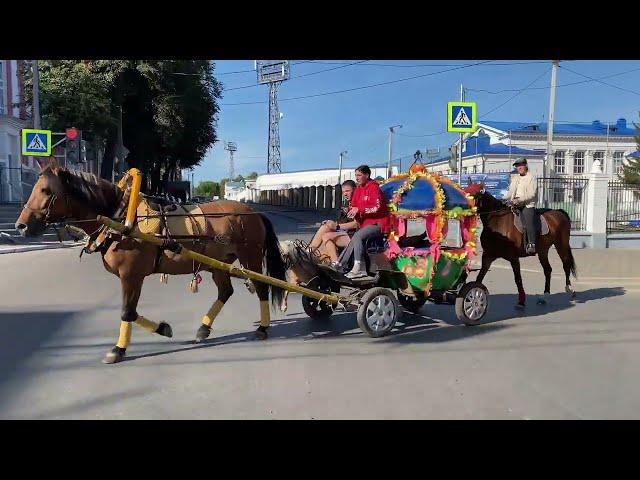 Путешествие на авто | Москва - Южный Урал | 26.08.2024 | Киров - Слободской - глэмпинг "Хвоя"