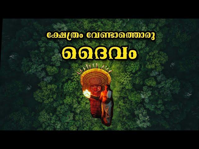 കാടിനുള്ളിലെ ദേവതയെ തേടി പതിനായിരങ്ങൾ എത്തുന്ന കാവ്...ഇരിണാവ് നങ്ങോളങ്ങര കാവ്