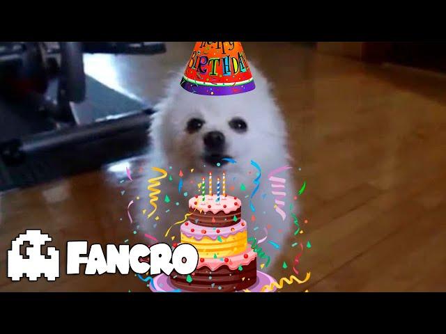 FELIZ CUMPLEAÑOS - Versión perruna